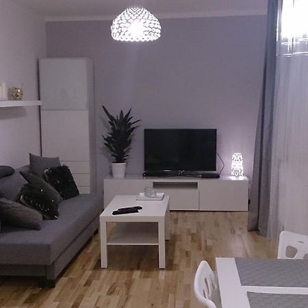 1 Bedroom City Center Apartment Katowice Ruang foto